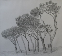 Pine trees, Cape Town 1 by Kannemeyer, Anton