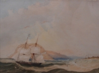 Natal from the sea by Bowler, Thomas William