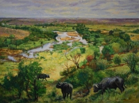 Buffalo in landscape near Letaba by Eloff, Zakkie