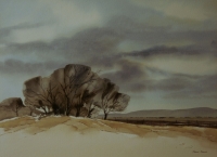 Trees and hill by Rennie, Richard