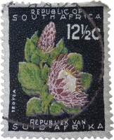 South African stamp - 12.5 C by Blake, Tamlin