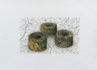 Grass circles by Van der Merwe, Strijdom