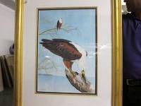 Fish eagle by Newman, Ken