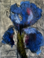 Iris by Kentridge, William