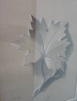 Study of leaf by Oerder, Frans David