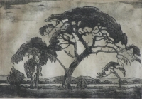 Thorn trees by Pierneef, Jacob Hendrik