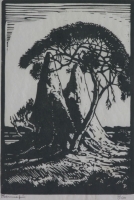 Hendrik pierneef - Mierhope - Suidwes - Afrika by Twenty Artists, Limited Edition portfolio