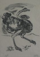 Cecil michaelis - ostrich by Twenty Artists, Limited Edition portfolio
