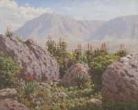 Amongs the rocks and aloes - Riversdale by Volshenk, Jan Ernst Abraham