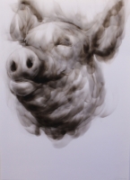 Untitled (Pig) by Victor, Diane