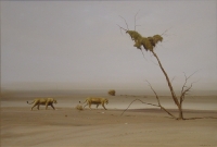 Desert lioness by Bone, C