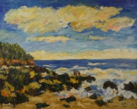 Coffee Bay by Van Halter, Francois