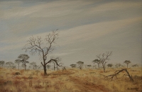 Bush scene by Van Der Walt, Nic