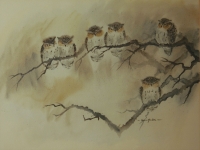 Owls by Yudra, Van