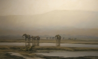 Elephants by Donaldson, Kim