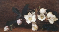Christmas roses by Hayward, Alfred Frederick William