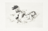 Leda and the White Backed Vulture by Victor, Diane