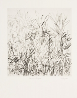 Aloes and Wild Grasses by Findlay, Bronwen