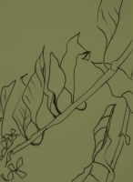 Leaves on branch by Relly, Tamsin