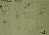 8 sketches - hand - face - foot - curtain & flowers by Relly, Tamsin