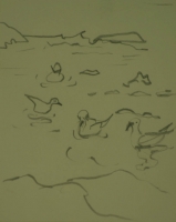 Ducks in water by Relly, Tamsin