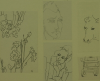 5 sketches - plants - faces - cow & car by Relly, Tamsin