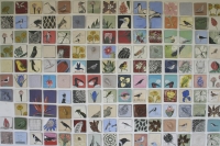 150 square blocks showing a variety of birds & plants by Unknown