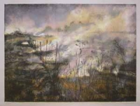 Through the Wire: Lowveld Fire II by Berman, Kim