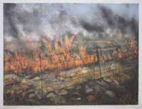 Through the Wire: Lowveld Fire I by Berman, Kim