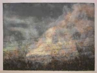 Through the Wire: Lowveld Fire III by Berman, Kim
