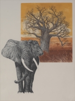 African Elephant by Bernstein, Hilda