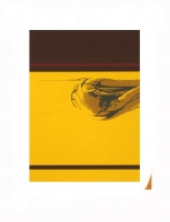 Yellow fist by Blom, Wim