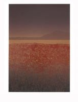Red field by Hart, Bill