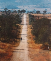 Man on long road, Zimbabwe by Oberholzer, Obie