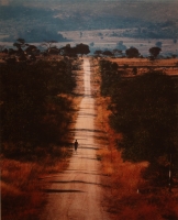Road to Mutsiyabako school, Zimbabwe by Oberholzer, Obie
