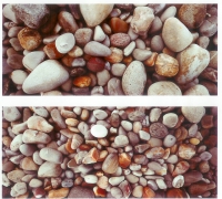 Pebbles by Riordan, John
