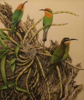 Olive Nadagascar Bee-Eater & Bohms Bee-Eater by Ord Kerr, David