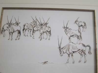 8 gemsbok by Eloff, Zakkie