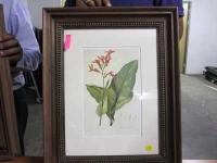 Flowers with red and big leaves by Unknown