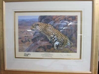Sitting Leopard/Vision for Augrabies by Bosman, Paul