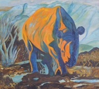 Orange Rhino by Quin, J