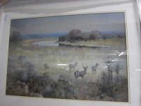 4 white ring kudu in river scene by Wiles, Paul