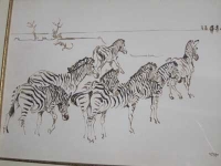Zebra by Eloff, Zakkie