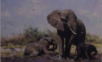 In the mud bath - Elephants by Shepherd, David