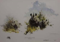 Rhinos by Shepherd, David